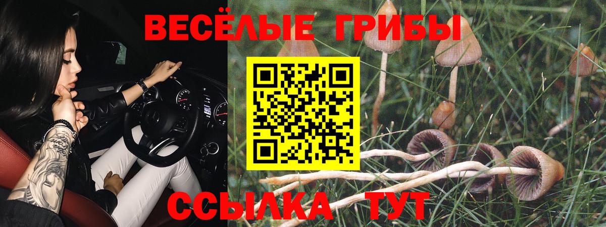 Ростов-на-Дону  Галлюциногенные грибы мухоморы  Вход с VPN  Галлюциногенные грибы Cubensis 